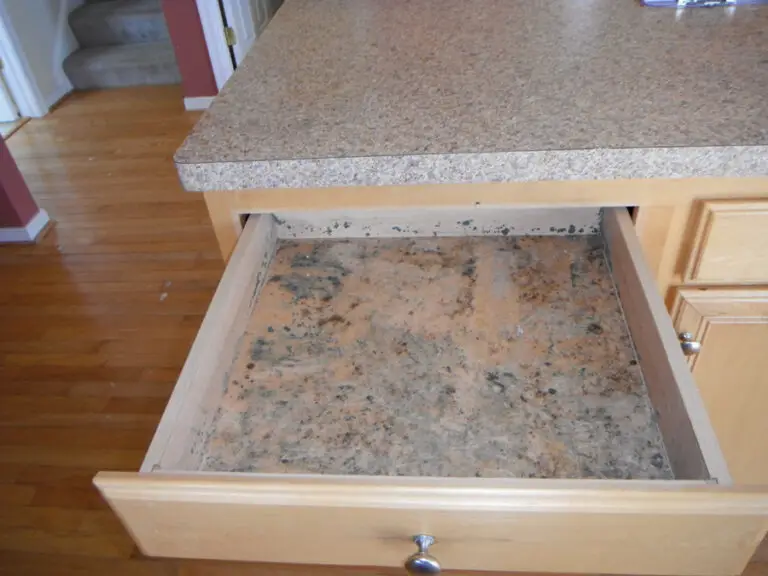 How to Get Rid of Mold in Kitchen Cabinets