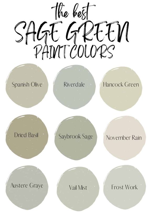 What Color is Sage Green? Learn About the Shades and Meanings of this ...