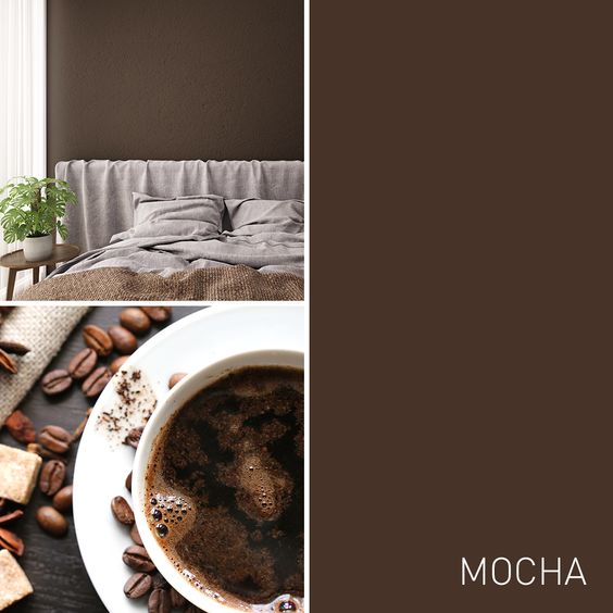 What Colors Go with Mocha Brown