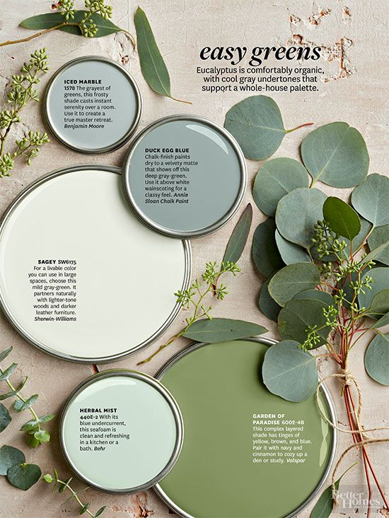 Best Sage Green Exterior Paint Colors