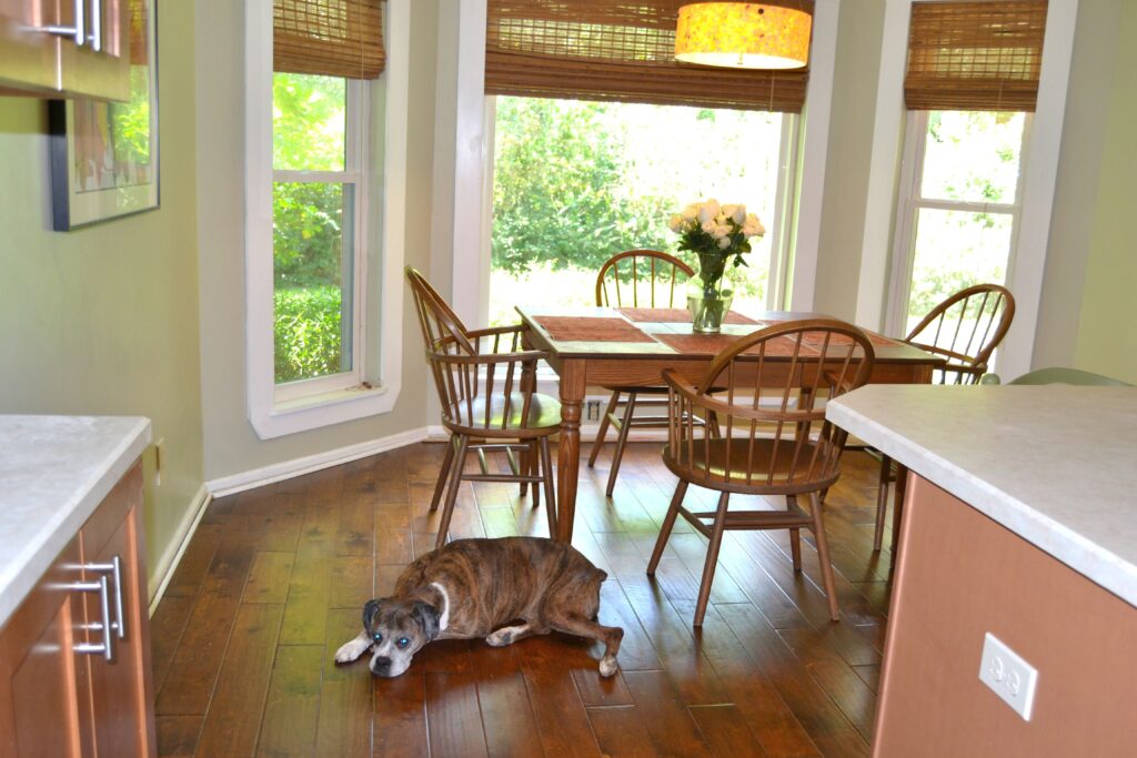 Benjamin Moore Spanish Olive: Stylish Home Decor Inspiration | HOME ...