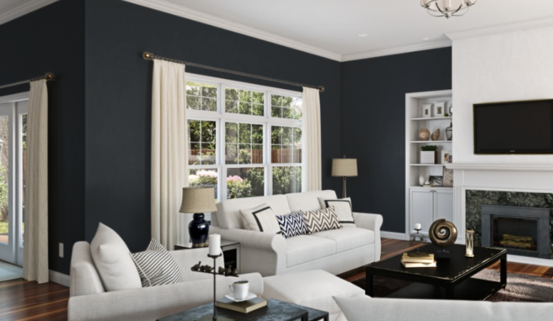 Sherwin Williams Inkwell (SW 6992)
A rich, dark blue-black that adds depth and sophistication to any space.