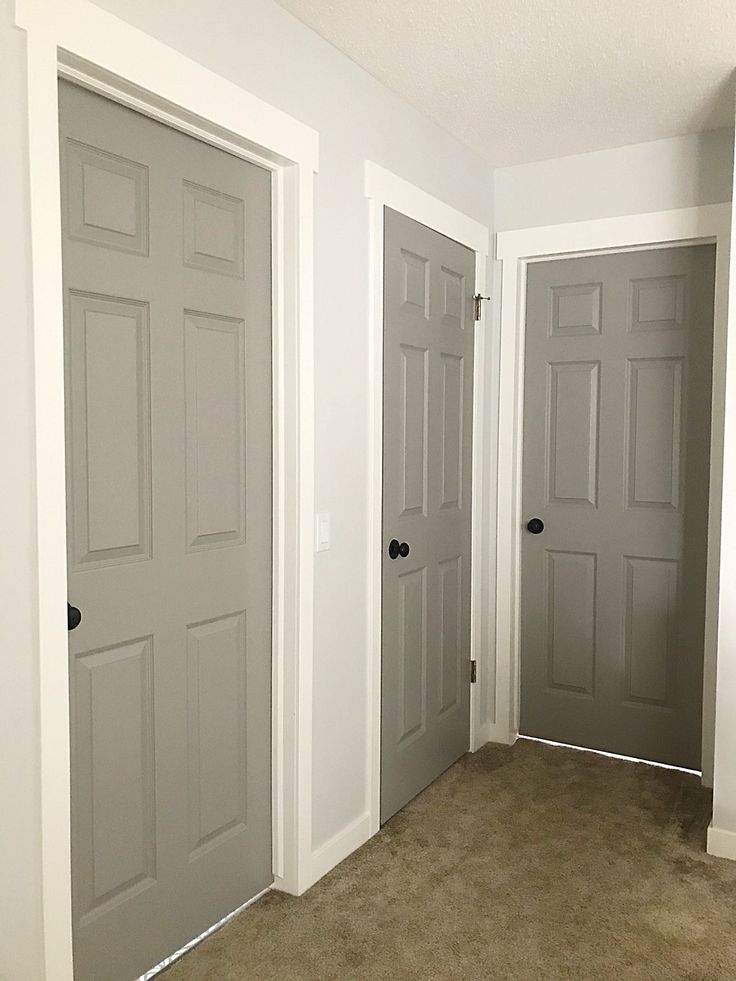 Are 2024 Interior Door Colors a Palette of Possibilities? | HOME ...