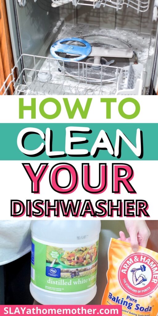 Smelly Dishwasher